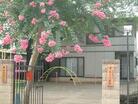 善隣幼稚園(幼稚園、保育園)