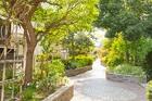 谷端川南緑道(公園)