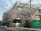 世田谷区立多聞小学校(小学校)