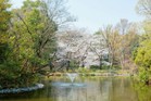 和田堀公園(公園)