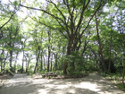 三井の森公園（公園）