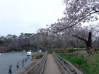 洗足池公園(公園)