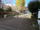 阿佐谷こぶし緑地（公園）