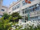 杉並区立松ノ木小学校(小学校)