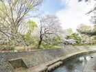 都立和田堀公園(公園)