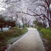 玉川上水第二公園(公園)