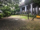 まつぼっくり緑地（公園）