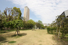 青山公園（公園）