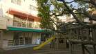 いづみ幼稚園(幼稚園、保育園)