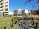中目黒公園(公園)