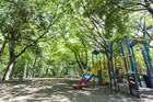 林試の森公園（公園）