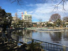 清水池公園（公園）
