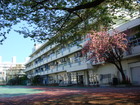 港区立青南小学校（小学校）