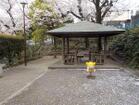 たぬき山公園（公園）