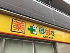 どらっぐぱぱす紅葉橋通り店(ドラッグストア)