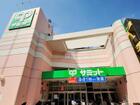 サミットストア椎名町店(スーパー)