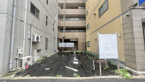 文京区本駒込５