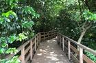 千石緑地(公園)