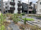 プロが整えた、最高級のキャンバス