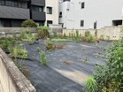 まっさらな正方形が、あなたの想像力を解き放つ。