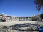 練馬区立石神井台小学校（小学校）