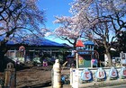 帝都幼稚園(幼稚園、保育園)