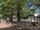 平和の森公園(公園)