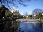 清水池公園（公園）