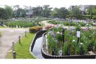 堀切菖蒲園（公園）
