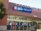 ウエルシア大田上池台店(ドラッグストア)