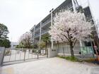 世田谷区立船橋小学校(小学校)