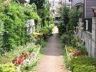 谷戸前川緑道(公園)