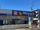 ウェルパーク東矢口店（ドラッグストア）