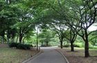 祖師谷公園(公園)