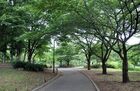 祖師谷公園（公園）