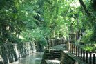 世田谷区立等々力渓谷公園（公園）