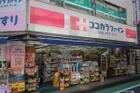 ココカラファイン駒沢店（ドラッグストア）