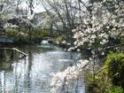 つりがね池公園(公園)