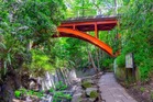 等々力渓谷公園（公園）