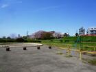 多摩川玉川公園（公園）