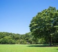 東京都立砧公園(公園)