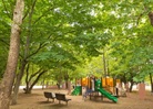 井草森公園(公園)