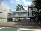 世田谷区立松沢小学校（小学校）