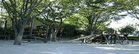 和田中央公園(公園)