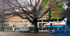 調布上ノ原保育園(幼稚園、保育園)