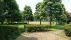 柴崎公園(公園)