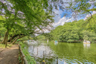 井の頭公園(公園)