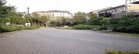 つばき緑地(公園)