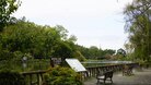 善福寺公園(公園)