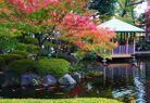 大田黒公園（公園）